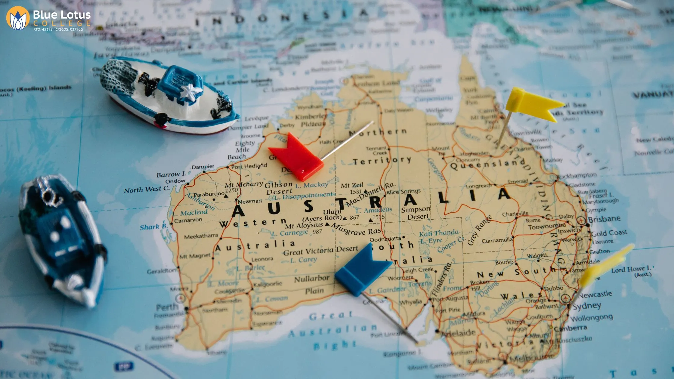 Blue Stamp Updates: Immigration News