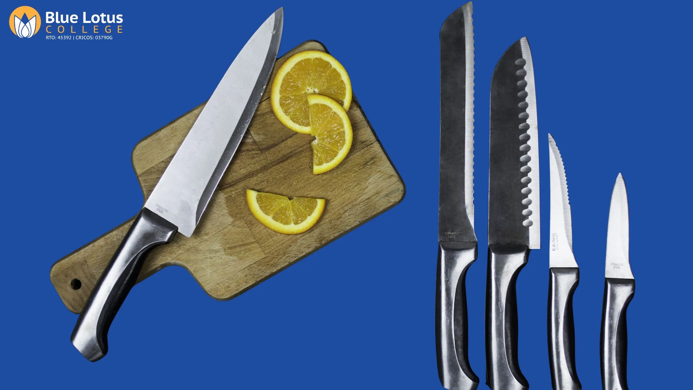 Different Knives for Chefs and How They Use Each One
